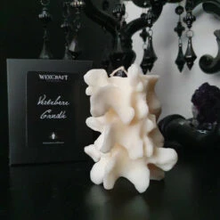 Brand new 😀 WIXCRAFT CANDLES Gothic Homewares Vertebrae | CANDLE` 🛒 -Spooky Stuff Store 20220401 113404 540x 1d61f527 528d 4d01 bd2a 1f48746492c1 700x700