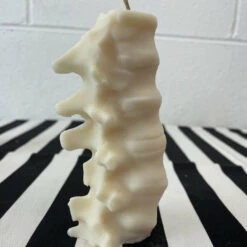 Wholesale 🎁 THE BLACKENED TEETH Gothic Homewares Spine [Ivory] | SCENTED CANDLE ✔️ -Spooky Stuff Store IMG 5900 5a5c9360 394f 40be b1c5 e24b646f4896 700x700