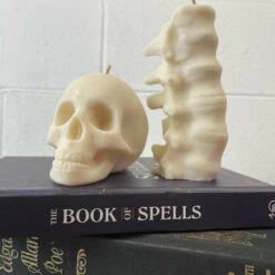 Wholesale 🎁 THE BLACKENED TEETH Gothic Homewares Spine [Ivory] | SCENTED CANDLE ✔️ -Spooky Stuff Store IMG 5905 124567ea d369 4060 a9f9 e78059209555 700x700