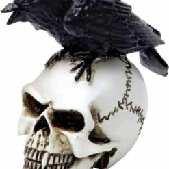 Best reviews of 🎁 ALCHEMY GOTHIC Gothic Homewares Raven Skull | MINIATURE ⌛