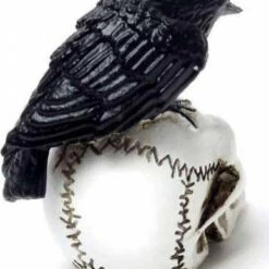 Best reviews of 🎁 ALCHEMY GOTHIC Gothic Homewares Raven Skull | MINIATURE ⌛ -Spooky Stuff Store alchemy gothic raven skull miniature 3 5d6b8ee5 8004 4ede 893a a24bb07f4ad1 700x700