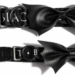 Outlet ✔️ BLACKCRAFT Gothic Homewares Batwing | 💯 DOG COLLAR 🎁 -Spooky Stuff Store blackcraft batwing dog collar 3 68299fe5 ac0a 4c27 8e1f 2fe8c73fff90 700x700