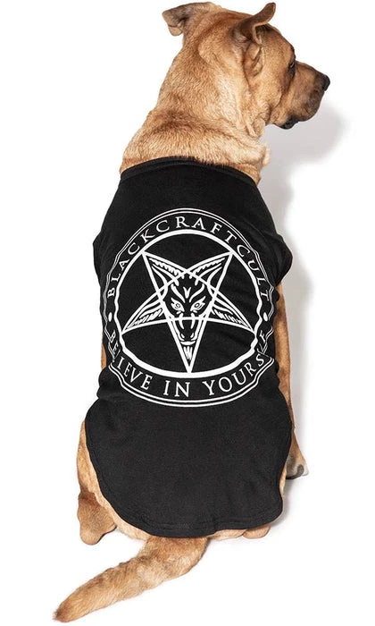 Top 10 ✨ BLACKCRAFT Gothic Homewares Believe In Yourself | PET TEE* ❤️ 1 Top 10 ✨ BLACKCRAFT Gothic Homewares Believe In Yourself | PET TEE* ❤️