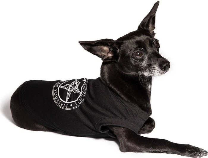 Top 10 ✨ BLACKCRAFT Gothic Homewares Believe In Yourself | PET TEE* ❤️ 4 Top 10 ✨ BLACKCRAFT Gothic Homewares Believe In Yourself | PET TEE* ❤️ - Image 4