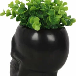 Top 10 ❤️ GOTHIC GIFTS Gothic Homewares Black Skull | PLANT POT ✨ -Spooky Stuff Store gothic gifts black skull plant pot 2 e4c088d7 9f6c 43ac 8214 6c097b0ec083 700x700