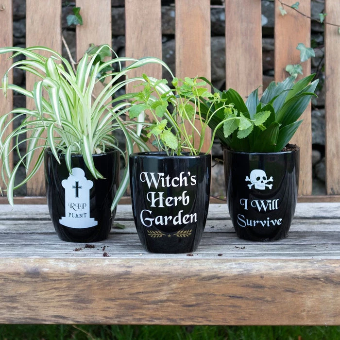 New β GOTHIC GIFTS Gothic Homewares I Will Survive | GOTHIC PLANT POT π 2 New β GOTHIC GIFTS Gothic Homewares I Will Survive | GOTHIC PLANT POT π - Image 2
