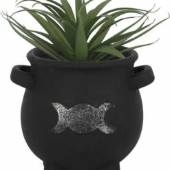 New 💯 GOTHIC GIFTS Gothic Homewares Triple Moon | CAULDRON PLANT POT ⌛ -Spooky Stuff Store gothic gifts triple moon cauldron terracotta plant pot 2 5d9da40f 56bc 4f61 a57a afb2f287504c 700x700