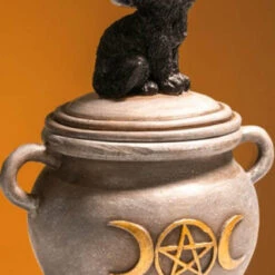 Best deal ๐ HOMEWARES Cats Black Cat | CAULDRON TRINKET BOX โ๏ธ