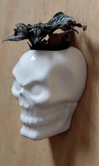 New βοΈ HOMEWARES Gothic Homewares Ceramic Skull Garden | WALL PLANTER π― 1 New βοΈ HOMEWARES Gothic Homewares Ceramic Skull Garden | WALL PLANTER π―