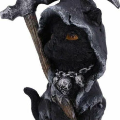 Promo 🌟 NEMESIS NOW Gothic Homewares Amara | FIGURINE` ✔️ -Spooky Stuff Store nemesis now amara figurine 2 3b8cf1ec 2bea 4cea ba62 2ad4cd312d5d 700x700