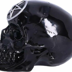 Brand new π NEMESIS NOW Gothic Homewares Black Magic | SKULL π 11 Brand new π NEMESIS NOW Gothic Homewares Black Magic | SKULL π -Spooky Stuff Store nemesis now black magic skull 3 3bb9bbb6 fba7 43f2 93aa 6e086d9af77e 700x700