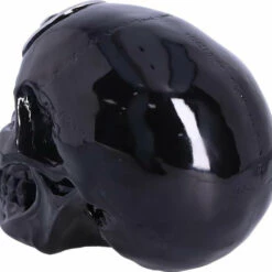 Brand new π NEMESIS NOW Gothic Homewares Black Magic | SKULL π 12 Brand new π NEMESIS NOW Gothic Homewares Black Magic | SKULL π -Spooky Stuff Store nemesis now black magic skull 4 beb750d0 3495 45c7 a179 0309700d7f63 700x700