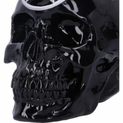 Brand new π NEMESIS NOW Gothic Homewares Black Magic | SKULL π 14 Brand new π NEMESIS NOW Gothic Homewares Black Magic | SKULL π -Spooky Stuff Store nemesis now black magic skull 6 bddd02fe e8d6 4900 b4e7 e86e90949003 700x700