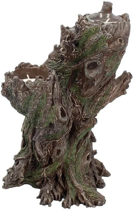 Best Pirce ⌛ NEMESIS NOW Gothic Homewares Green Man | TEALIGHT HOLDER* 👍 3 Best Pirce ⌛ NEMESIS NOW Gothic Homewares Green Man | TEALIGHT HOLDER* 👍 - Image 3