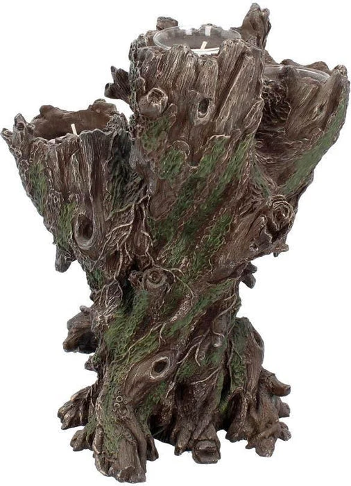 Best Pirce ⌛ NEMESIS NOW Gothic Homewares Green Man | TEALIGHT HOLDER* 👍 4 Best Pirce ⌛ NEMESIS NOW Gothic Homewares Green Man | TEALIGHT HOLDER* 👍 - Image 4