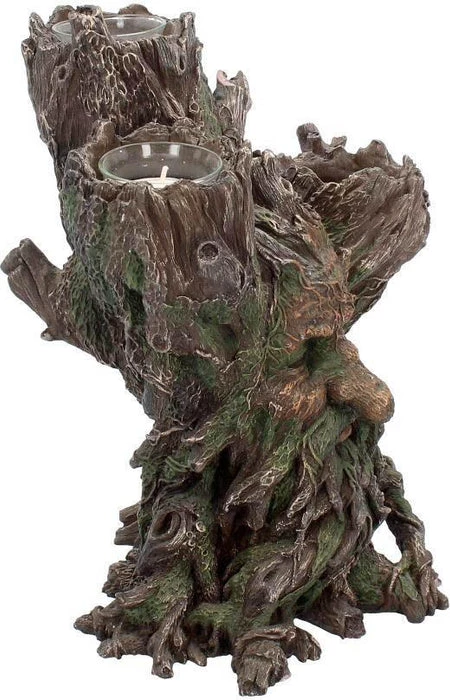 Best Pirce ⌛ NEMESIS NOW Gothic Homewares Green Man | TEALIGHT HOLDER* 👍 6 Best Pirce ⌛ NEMESIS NOW Gothic Homewares Green Man | TEALIGHT HOLDER* 👍 - Image 6