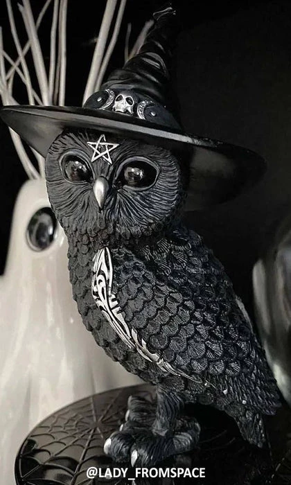 Outlet โ NEMESIS NOW Gothic Homewares Owlocen | FIGURINE ๐ฅ 3 Outlet โ NEMESIS NOW Gothic Homewares Owlocen | FIGURINE ๐ฅ - Image 3