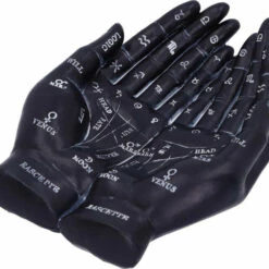 Buy 👍 NEMESIS NOW Gothic Homewares Palmists [Black] | GUIDE* 👏 -Spooky Stuff Store nemesis now palmists black guide 5 1b99f939 8fdc 4a3e 8652 3912b5ae714e 700x700