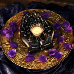 Buy 👍 NEMESIS NOW Gothic Homewares Palmists [Black] | GUIDE* 👏 -Spooky Stuff Store nemesis now palmists black guide 8 9958bd65 658f 4bd6 9271 4fd29231c408 700x700