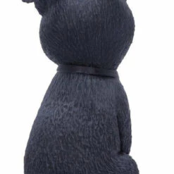 Best Pirce π NEMESIS NOW Cats Pawzuph | FIGURINE π€© 10 Best Pirce π NEMESIS NOW Cats Pawzuph | FIGURINE π€© -Spooky Stuff Store nemesis now pawzuph figurine 3 de1f3ba4 9bae 4b17 b333 0441eba28913 700x700