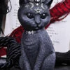 Best Pirce 👏 NEMESIS NOW Cats Pawzuph | FIGURINE 🤩