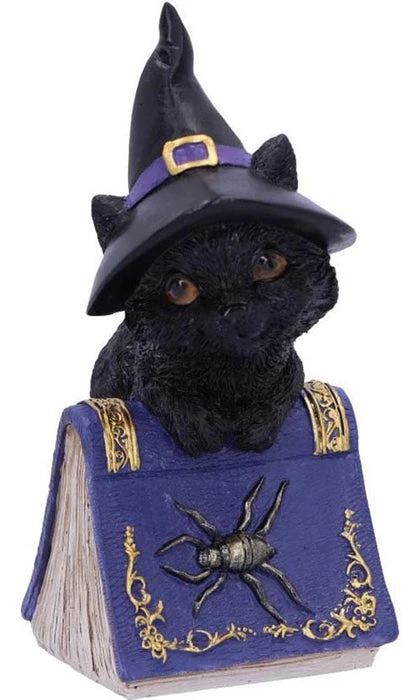 Flash Sale ⭐ NEMESIS NOW Gothic Homewares Pocus | FIGURINE` ⭐ 2 Flash Sale ⭐ NEMESIS NOW Gothic Homewares Pocus | FIGURINE` ⭐ - Image 2