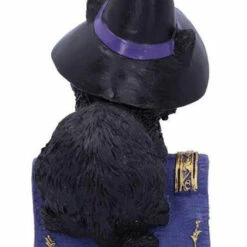 Flash Sale ⭐ NEMESIS NOW Gothic Homewares Pocus | FIGURINE` ⭐ 11 Flash Sale ⭐ NEMESIS NOW Gothic Homewares Pocus | FIGURINE` ⭐ -Spooky Stuff Store nemesis now pocus figurine 2 37b48678 5ced 4872 a63b 88117bb77807 700x700