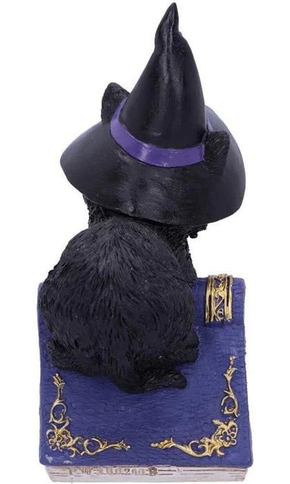 Flash Sale ⭐ NEMESIS NOW Gothic Homewares Pocus | FIGURINE` ⭐ 4 Flash Sale ⭐ NEMESIS NOW Gothic Homewares Pocus | FIGURINE` ⭐ - Image 4