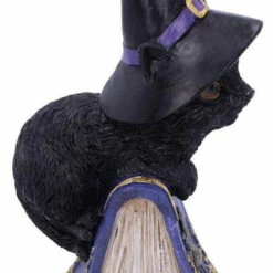 Flash Sale ⭐ NEMESIS NOW Gothic Homewares Pocus | FIGURINE` ⭐ 10 Flash Sale ⭐ NEMESIS NOW Gothic Homewares Pocus | FIGURINE` ⭐ -Spooky Stuff Store nemesis now pocus figurine 3 c7754422 ebae 495e a278 b99323629113 700x700