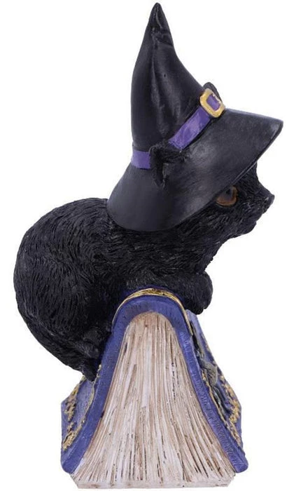 Flash Sale ⭐ NEMESIS NOW Gothic Homewares Pocus | FIGURINE` ⭐ 3 Flash Sale ⭐ NEMESIS NOW Gothic Homewares Pocus | FIGURINE` ⭐ - Image 3