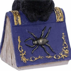 Flash Sale ⭐ NEMESIS NOW Gothic Homewares Pocus | FIGURINE` ⭐ 12 Flash Sale ⭐ NEMESIS NOW Gothic Homewares Pocus | FIGURINE` ⭐ -Spooky Stuff Store nemesis now pocus figurine 4 5032ef6a 9d18 45c5 b4f2 535c5903b4f6 700x700