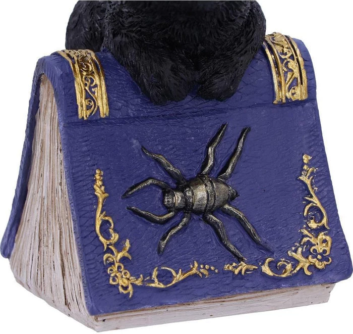 Flash Sale ⭐ NEMESIS NOW Gothic Homewares Pocus | FIGURINE` ⭐ 5 Flash Sale ⭐ NEMESIS NOW Gothic Homewares Pocus | FIGURINE` ⭐ - Image 5