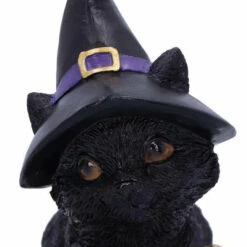 Flash Sale ⭐ NEMESIS NOW Gothic Homewares Pocus | FIGURINE` ⭐ 13 Flash Sale ⭐ NEMESIS NOW Gothic Homewares Pocus | FIGURINE` ⭐ -Spooky Stuff Store nemesis now pocus figurine 5 ddcfb660 2fbb 4dd3 bd11 5ba5041b6c43 700x700