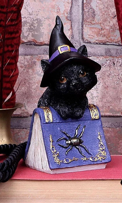 Flash Sale ⭐ NEMESIS NOW Gothic Homewares Pocus | FIGURINE` ⭐ 1 Flash Sale ⭐ NEMESIS NOW Gothic Homewares Pocus | FIGURINE` ⭐