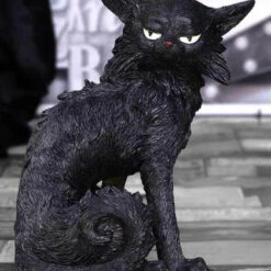 Buy ⌛ NEMESIS NOW Cats Salem | FIGURINE` 🥰