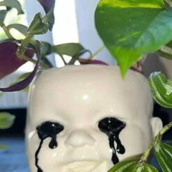 Budget ✔️ SARAH MUDLE Gothic Homewares Doll Head [White] | PLANTER 🤩 -Spooky Stuff Store sarah mudle doll head white planter 3 3101bf98 1fd7 4270 b959 bf94978b0090 700x700