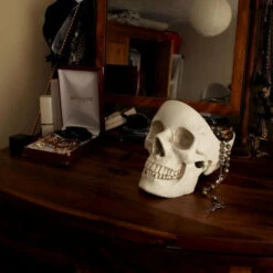 Discount ⭐ SUCK UK Gothic Homewares Skull | BOWL [WHITE] 🥰 -Spooky Stuff Store skull white tidy 6 700x700