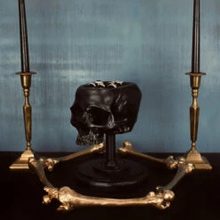 Top 10 ⌛ THE BLACKENED TEETH Gothic Homewares Skull [Black] | JEWELLERY HOLDER 🎉 -Spooky Stuff Store the blackened teeth skull black jewellery holder 2 511b73b6 0651 4a4f b07a 466ad38d850f 700x700