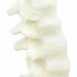 Wholesale 🎁 THE BLACKENED TEETH Gothic Homewares Spine [Ivory] | SCENTED CANDLE ✔️ -Spooky Stuff Store the blackened teeth spine ivory scented candle 6 f6c5a5e4 bf04 4cf7 aa50 6df4fe9ff10a 700x700