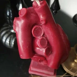 Top 10 🤩 WIXCRAFT CANDLES Gothic Homewares Anatomical Heart [Red] | CANDLE 😀 -Spooky Stuff Store wixcraft candles anatomical heart red candle 2 2fa0ddc5 759f 4e4c 8926 532e18948579 700x700