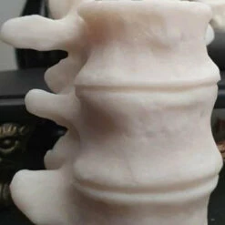 Brand new ๐ WIXCRAFT CANDLES Gothic Homewares Vertebrae | CANDLE` ๐