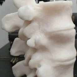 Brand new 😀 WIXCRAFT CANDLES Gothic Homewares Vertebrae | CANDLE` 🛒 -Spooky Stuff Store wixcraft candles vertebrae candle 2 cef8d104 8c9f 4768 9570 b27f806f70ac 700x700